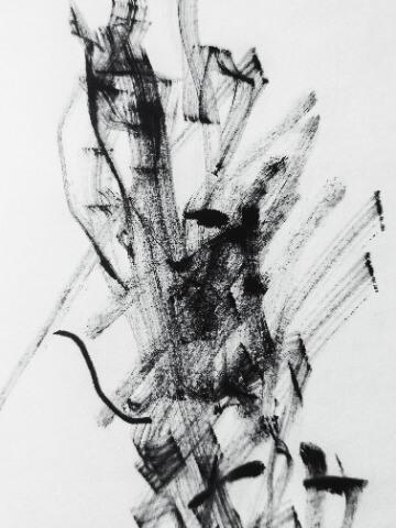 splash image